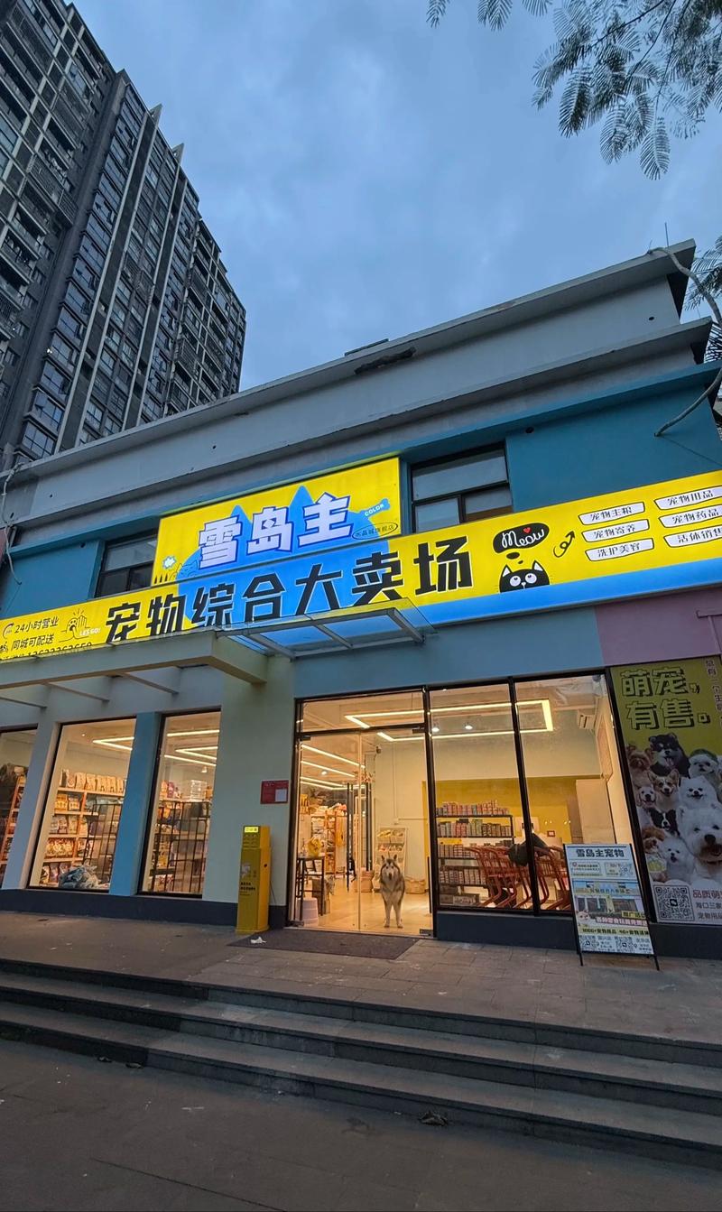海口百货店迎来新生：时代变迁里的商业故事